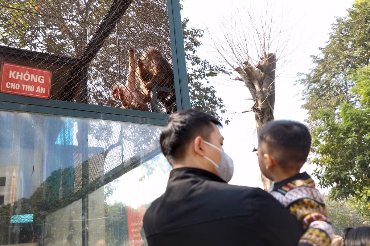 Dan khi o Cong vien Thu Le co ro vi lanh, du khach xot xa