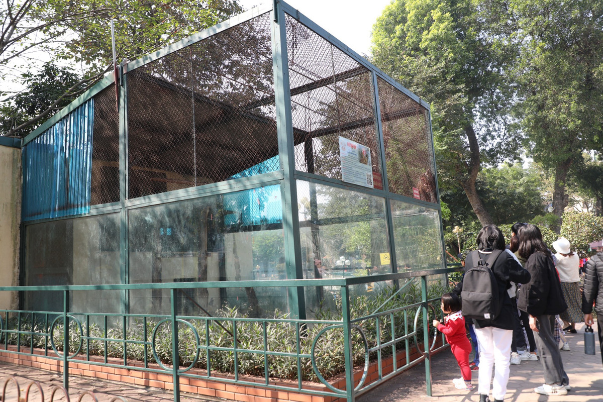 Hình ảnh toàn bộ thiết kế của chuồng khỉ tại công viên Thủ Lệ.