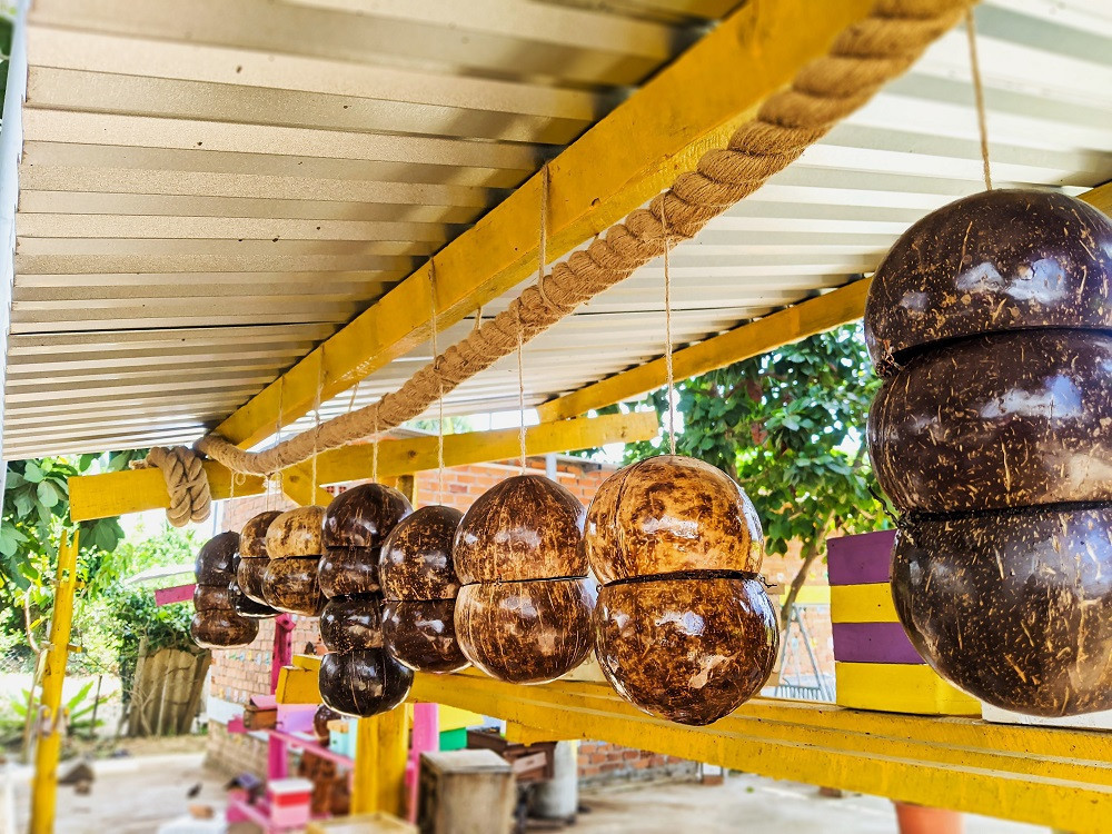 Nuoi giong ong la khong co noc dot, moi nam thu tien ti