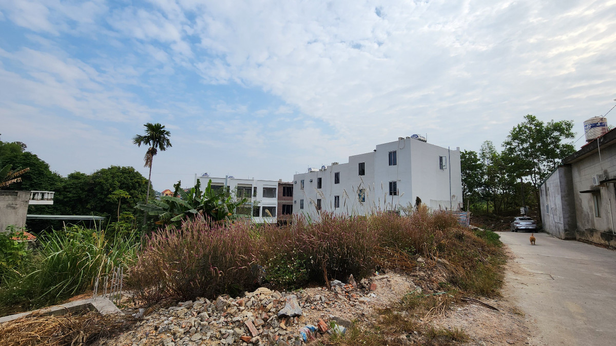 Khu đất rộng hơn 500m2 tại tổ 79, khu 7, phường Hà Khẩu, TP Hạ Long (tỉnh Quảng Ninh) đang tồn tại 13 căn nhà liền kề xây mới với thiết kế móng nhà kiên cố và cao 3 tầng, cùng với đoạn đường bê tông rộng gần 4m thoải dốc dẫn vào các căn nhà.