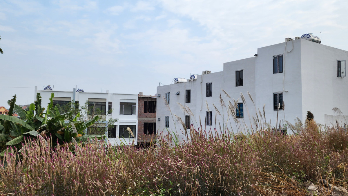 Nguồn gốc của khu nhà liền kề này là đất trồng cây lâu năm, thuộc sở hữu của bà Đoàn Thị Kim Chi và ông Nguyễn Văn Phòng. Sau khi chuyển đổi mục đích sử dụng, tách thửa, phân lô, 2 người này đã tiến hành xây dựng và rao bán 13 căn nhà liền kề.