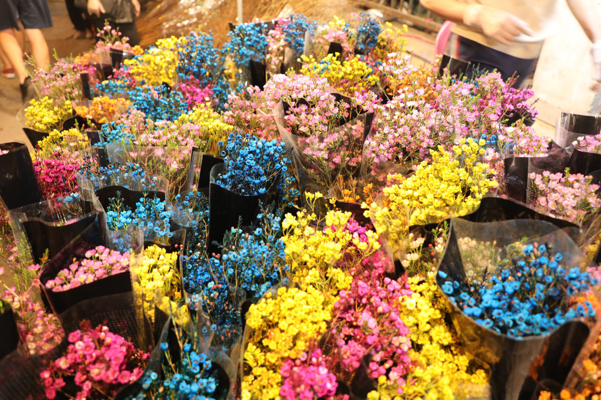 Một tiểu thương cho biết, hoa thanh liễu giá dao động từ 80.000 - 100.000 đồng/bó. Với mức giá hợp lý, hoa đẹp, chơi được lâu, đây là loại hoa được mọi người chuộng mua để chơi Tết.