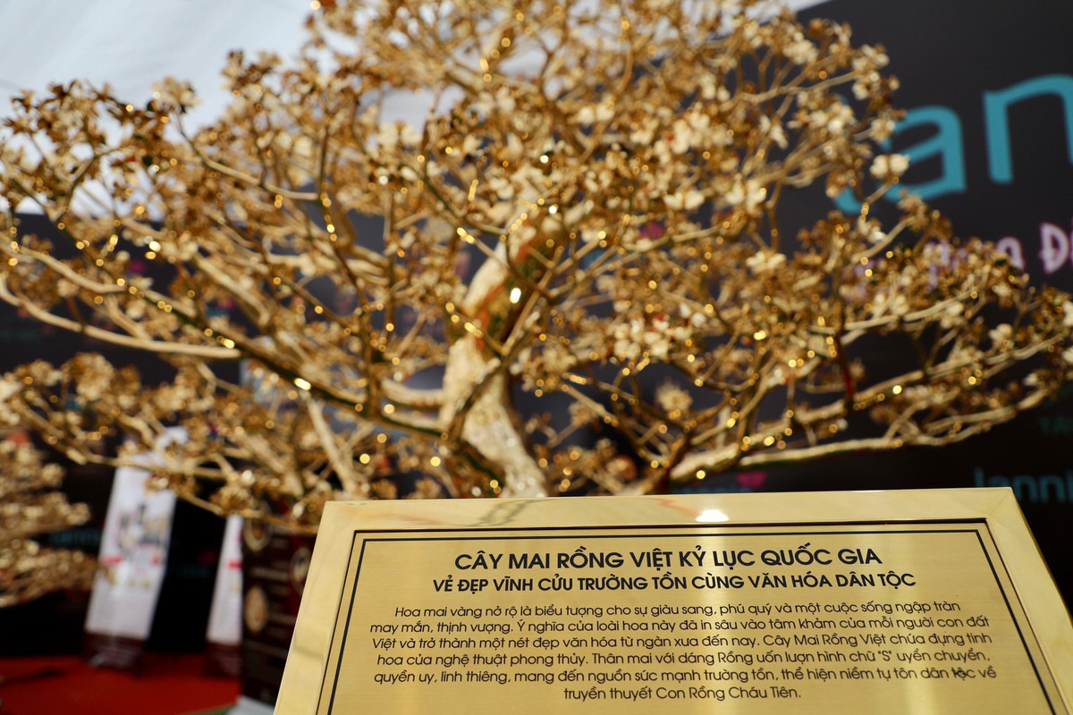 Hoa mai vàng nở rộ là biểu tượng cho sự giàu sang, phú quý.