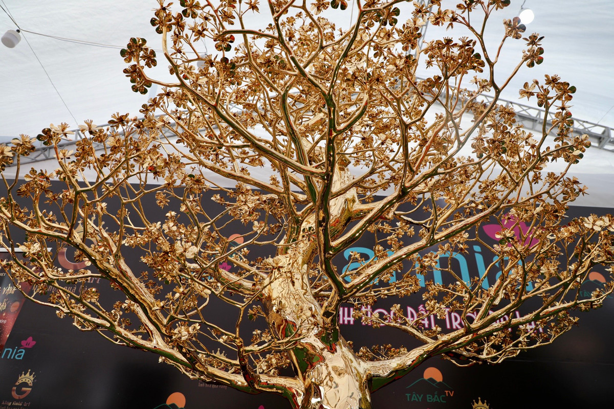 Thân cây dáng rồng, uốn lượn hình chữ S.