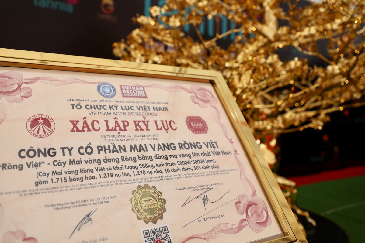 Gian hàng còn được trưng bày nhiều loại giấy tờ để đảm bảo độ uy tín cho tác phẩm như: bằng xác lập kỷ lục, phiếu kết quả thử nghiệm và các thông tin cơ bản khác về sản phẩm.