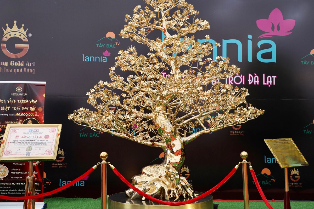 Cây mai được mạ vàng 24K, dáng rồng gồm 1.715 bông hoa, 1.270 nụ nhỏ, 16 cành chính và 505 cành phụ được chế tạo thủ công hoàn toàn đang được chào bán giá 6 tỉ đồng.