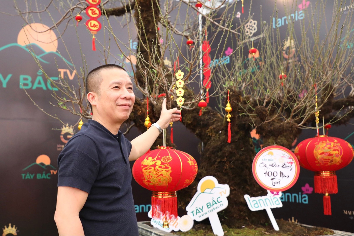 Đây được cho là cây đào có giá cao nhất từ trước đến nay. Cây đào thu hút nhiều người đến chiêm ngưỡng, chụp ảnh.