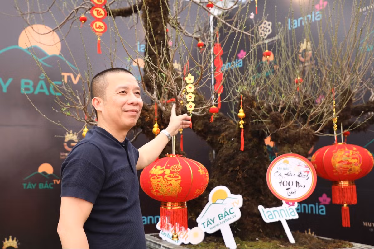 Đây được cho là cây đào có giá cao nhất từ trước đến nay. Cây đào thu hút nhiều người đến chiêm ngưỡng, chụp ảnh.