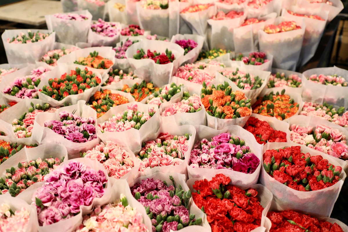 Muôn hoa khoe sắc làm say đắm những người yêu hoa.