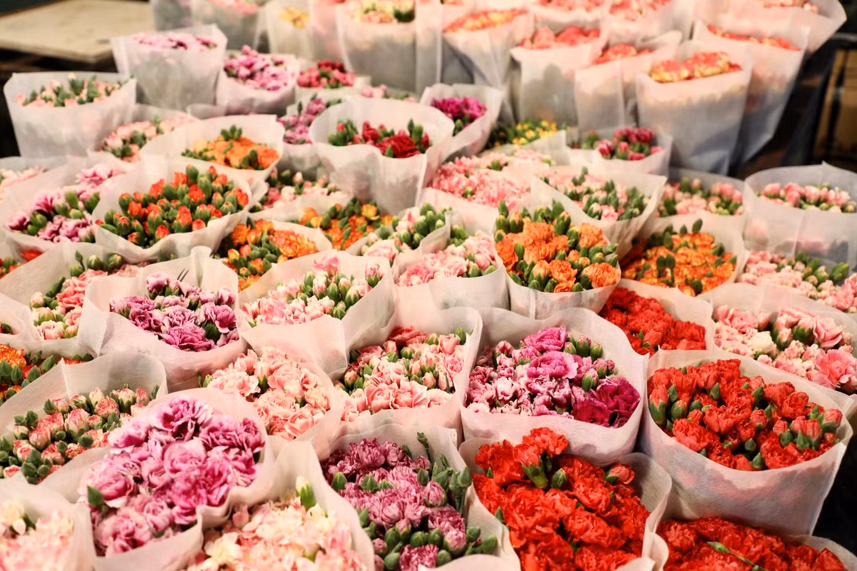 Muôn hoa khoe sắc làm say đắm những người yêu hoa.