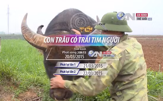 Ky la chu trau co trai tim nguoi-Hinh-2