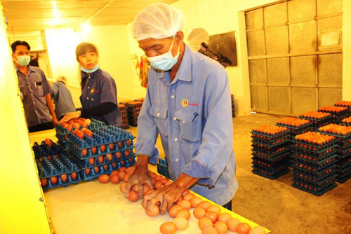 Vu Ba Huan - VinaCapital: Thu tuong Chinh phu cung kho can thiep?-Hinh-2