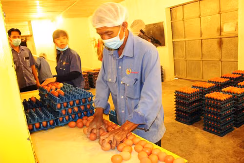 Vu Ba Huan - VinaCapital: Thu tuong Chinh phu cung kho can thiep?-Hinh-2