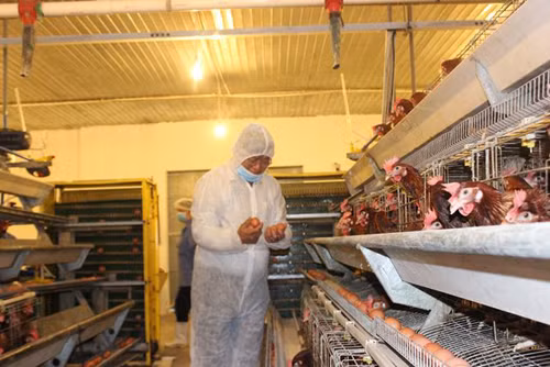 Vu Ba Huan - VinaCapital: Thu tuong Chinh phu cung kho can thiep?