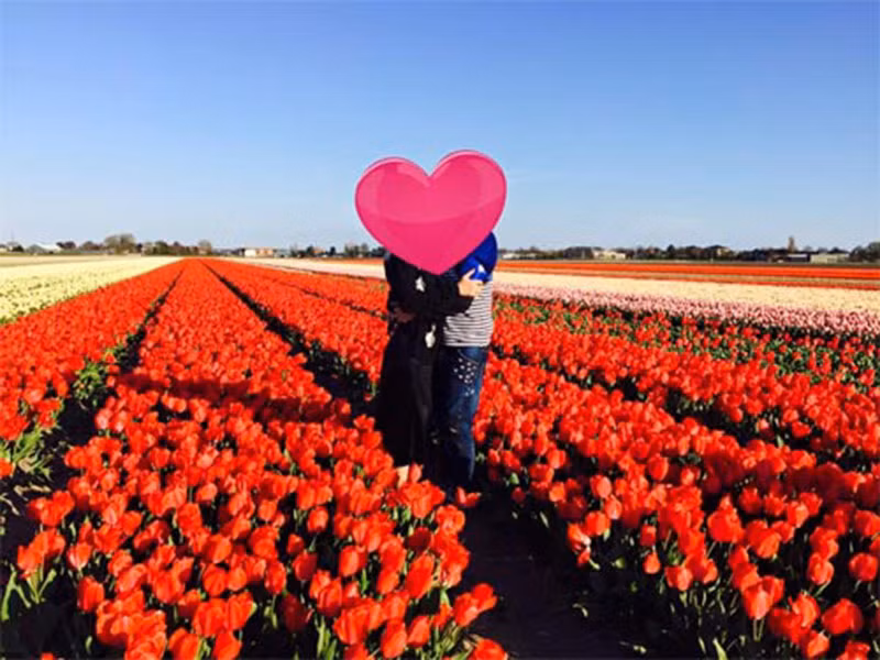 Vợ chồng Tùng Dương đã trải qua 10 năm sống chung một nhà.