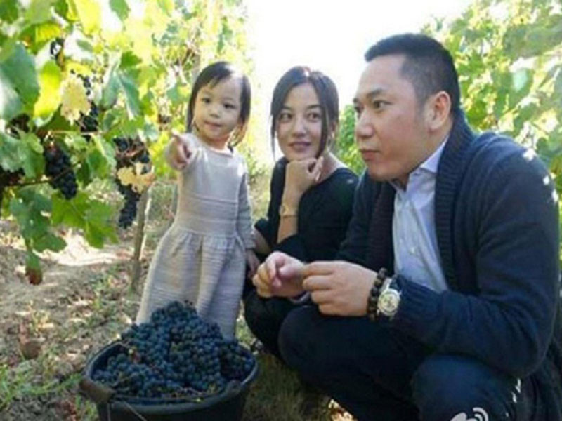 Trước khi vướng rắc rối kinh tế, Triệu Vy và Huỳnh Hữu Long là một trong cặp vợ chồng quyền lực nhất nhì làng giải trí Hoa ngữ.