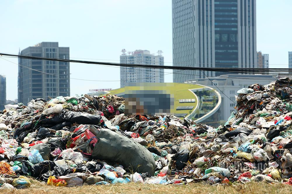 'Nui' rac ngon ngon an ngu trong khu do thi boc mui duoi nang 40 do-Hinh-12