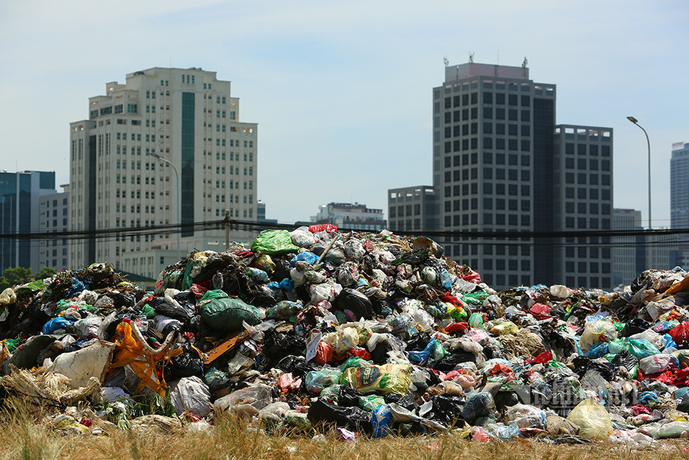 'Nui' rac ngon ngon an ngu trong khu do thi boc mui duoi nang 40 do-Hinh-11
