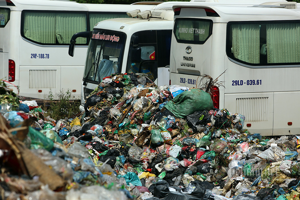 'Nui' rac ngon ngon an ngu trong khu do thi boc mui duoi nang 40 do-Hinh-3