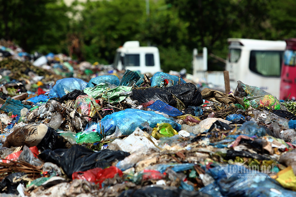 'Nui' rac ngon ngon an ngu trong khu do thi boc mui duoi nang 40 do-Hinh-2