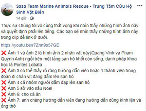 Quang Vinh - Pham Quynh Anh bi chi trich “pha hoai” san ho Phu Quoc-Hinh-5