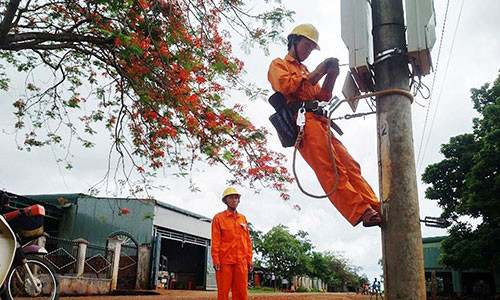 Kiem tra dot xuat gia tien dien tang cao bat thuong tai Dong Nai