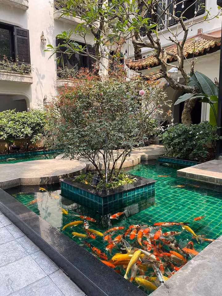 He lo “can nha trieu do” cua MC Mai Ngoc va chong dai gia