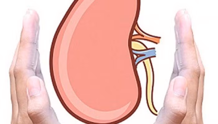 Cơ quan phải chịu thiệt hại nhiều nhất khi bạn ăn nhiều muối là thận. Nó chịu trách nhiệm lọc 5l máu mỗi ngày, loại bỏ các độc tố và các chất thải gây bệnh.