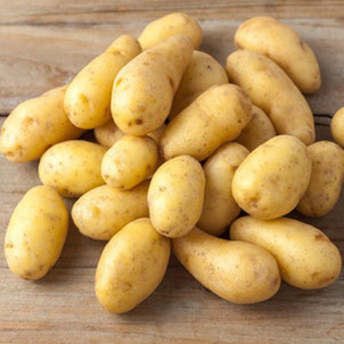 Khoai tây. Nếu lưu trữ khoai tây trong tủ lạnh thì tinh bột sẽ bị biến thành đường làm cho khoai tây có vị ngọt. Bạn nên lưu trữ thực phẩm này nơi khô thoáng và ít ánh sáng.