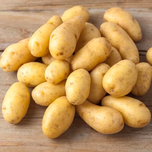 Khoai tây. Nếu lưu trữ khoai tây trong tủ lạnh thì tinh bột sẽ bị biến thành đường làm cho khoai tây có vị ngọt. Bạn nên lưu trữ thực phẩm này nơi khô thoáng và ít ánh sáng.