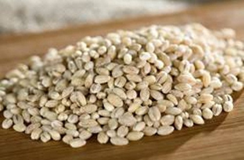 Lúa mạch là loại ngũ cốc giàu dinh dưỡng nhất là các chất xơ hòa tan và vitamin E. Loại ngũ cốc này chứa các chất chống oxi hóa làm giảm các thương tổn do gốc tự do gây ra. Vitamin E cũng giúp phòng ngừa nguy cơ bệnh lý tim mạch, một số ung thư và những bệnh lý khác liên quan đến lão hóa. Ngoài ra, loại ngũ cốc này còn có chỉ số GI (Glycemic Index-chỉ số đường huyết của thực phẩm) thấp, dưới 55 ( chỉ số đường huyết thực phẩm dùng để dự báo khả năng làm tăng đường máu của các loại thực phẩm.