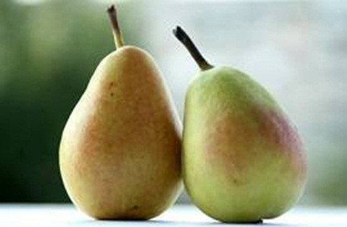 Quả lê có rất nhiều hợp chất phenolic. Chất này có nhiều ở lớp vỏ của quả, những thành phần này có thể trung hòa các gốc tự do, nhờ vào hiệu ứng chống oxi hóa. Do đó, những hợp chất phenolic có thể góp phần vào việc phòng ngừa các bệnh tim mạch và một số bệnh ung thư.