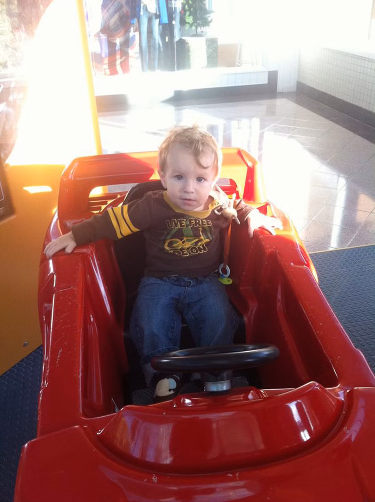 David và Collet Stephan cũng bị cáo buộc cho con trai dùng thuốc tự chế là dấm táo và rễ cải ngựa - thay vì tìm kiếm lời khuyên từ các chuyên gia chăm sóc sức khỏe.