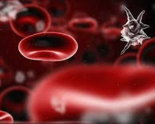  Nhiễm trùng huyết là một phản ứng mạnh đối với nhiễm khuẩn. Cơ thể sẽ sản sinh các hóa chất đưa vào máu để chống lại các mối đe dọa. Điều này khiến viêm lan rộng, theo thời gian, có thể làm chậm lưu lượng máu và tổn thương các cơ quan.