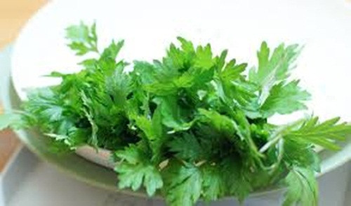 Trộn một muỗng canh ngải cứu và 2 muỗng canh rượu lên men và để trong khoảng 2 giờ. Sau đó dùng hỗn hợp này để đánh răng. Các mảng bám răng sẽ bị loại bỏ nhanh chóng.