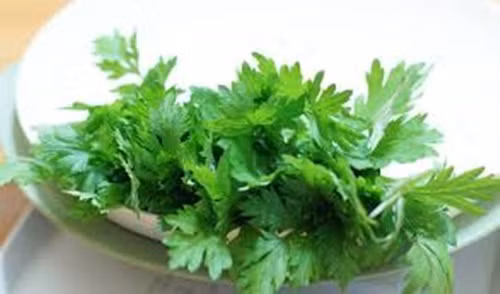 Trộn một muỗng canh ngải cứu và 2 muỗng canh rượu lên men và để trong khoảng 2 giờ. Sau đó dùng hỗn hợp này để đánh răng. Các mảng bám răng sẽ bị loại bỏ nhanh chóng.