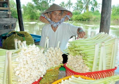 Bồn bồn muối dưa. Món ăn này khá đơn giản nhưng vô cùng độc đáo. Người dân tách phần lá bồn bồn già bên ngoài chỉ lấy cọng non trắng sau đó muối như muối dưa chua.