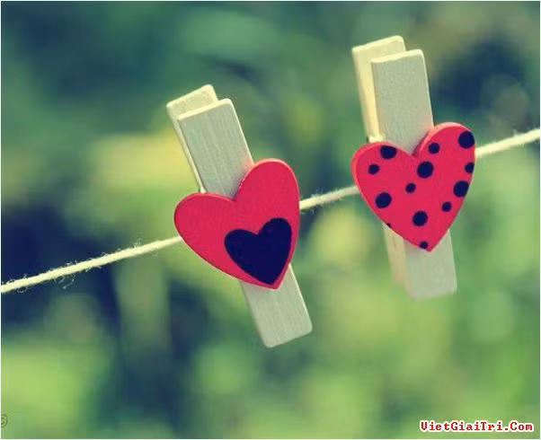 Chúng ta thường mong đợi rằng gặp đúng người mình yêu thương vào đúng thời điểm. Nhưng rất nhiều người đã không thực hiện được mong ước này, họ thường gặp đúng người mình yêu thương nhưng sai thời điểm. Ví dụ như, rõ ràng chúng ta đã kết hôn nhưng sau đó người yêu thương mới xuất hiện. Vậy thì làm thế nào nếu khi bạn ở trường hợp trớ trêu trên? Liệu bạn có từ bỏ cuộc hôn nhân hiện có để theo đuổi tình yêu đích thực hay không?