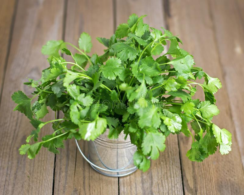 Trong đó, Polyphenol là một loại chất chống oxy hóa đặc biệt quan trọng. Polyphenol làm giảm viêm và ngăn ngừa tổn thương tế bào. Ảnh: DC.