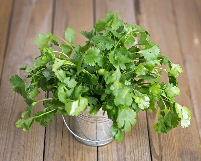 Trong đó, Polyphenol là một loại chất chống oxy hóa đặc biệt quan trọng. Polyphenol làm giảm viêm và ngăn ngừa tổn thương tế bào. Ảnh: DC.