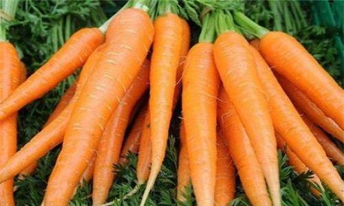 1. Cà rốt. Có thể nói, cà rốt là một loại thực phẩm vừa rẻ lại bổ, chứa nhiều caroten và vitamin rất tốt cho cơ thể. Dưỡng chất trong cà rốt giúp da tăng sức đề kháng, trẻ hóa làn da và phục hồi sức sống cho da. Ảnh: Sohu.