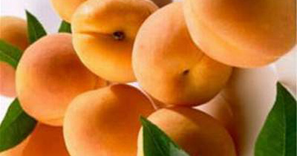 Mơ có tác dụng tốt hơn khi cho thêm đường, là một nước giải khát quý hiếm và tăng sức đề kháng cho cơ thể. Ảnh minh họa.