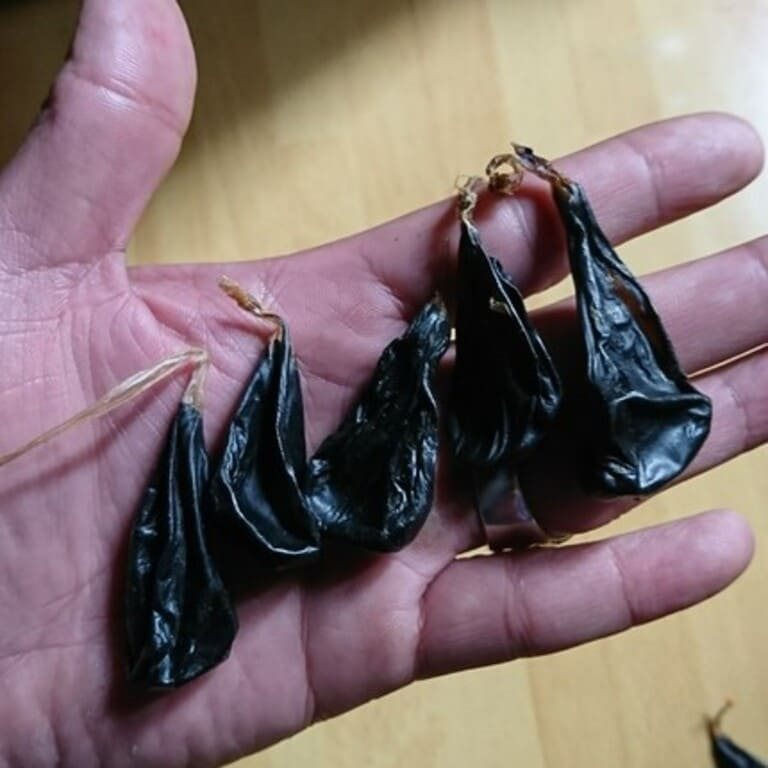 Tre so sinh ngung tim vi duoc cho uong mat khi phong co giat