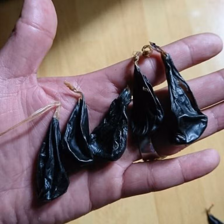 Tre so sinh ngung tim vi duoc cho uong mat khi phong co giat