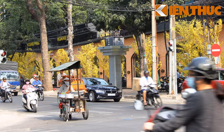 Khắp các tuyến phố Sài Gòn đều rực rỡ sắc màu mùa xuân.