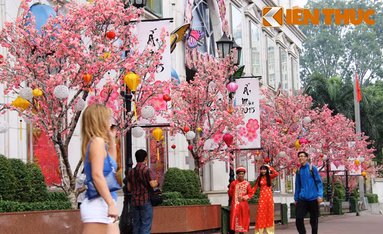 Những ngày đầu tháng chạp, không khí Tết đã tràn ngập khắp TP HCM. Nhiều tuyến đường, trung tâm thương mại, các khu vui chơi giải trí...đã trang hoàng lộng lẫy để đón mừng năm mới. Hình ảnh một trung tâm thương mại trên đường Lê Duẩn, quận 1 ngập sắc đào xuân.