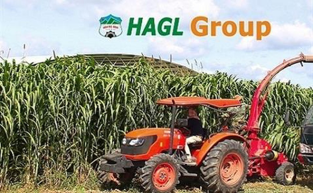 Tổng giám đốc HAGL Agrico nói gì về kết quả lỗ khủng 2.325 tỷ năm 2019? Tong giam doc HAGL Agrico noi gi ve ket qua lo khung 2.325 ty nam 2019?