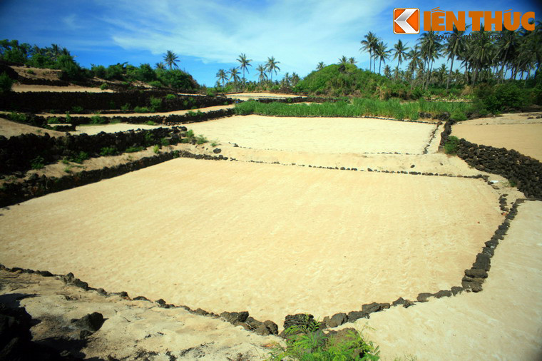 Đó là những thửa ruộng được chia thành nhiều tầng, với độ cao chênh lệch từ 20-50cm mỗi tầng. Những thửa ruộng bậc thang đặc biệt này hình thành do địa hình mấp mô của đảo Bé Lý Sơn.