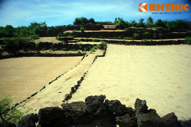 Tạm xa các bãi đá nham thạch, điều lý thú tiếp theo chờ đợi du khách trên đảo Bé là những thửa ruộng bậc thang hiếm có nơi hải đảo.