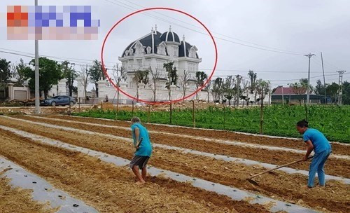 Xung quanh tòa dinh thự này là cánh đồng trồng ngô, lúa của người dân. Bởi vậy nó tạo nên sự khác biệt rõ ràng. Bên ngoài, bà Loan dùng hàng ngàn m2 để trồng cây cối. Ngoài ra, phía ngoài cùng còn được xây hàng rào cao hơn 1m bao trọn toàn bộ diện tích căn biệt thự.